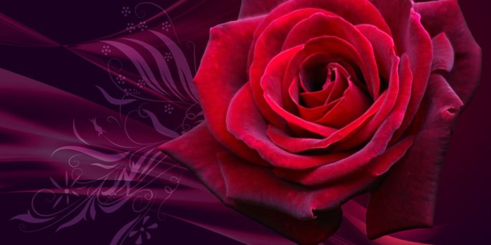 1280x1024 R word wallpaper (25 Wallpapers) – Adorable Wallpapers