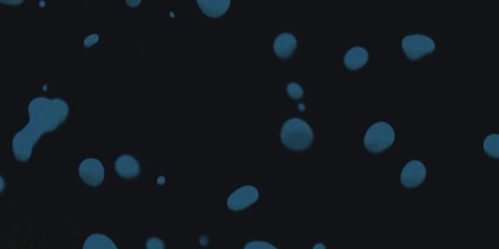 828x1792 iPhone XR Wallpaper Drops Dark Blue Watter Minimal Simple Hazy