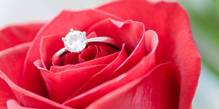 1920x1080 Rose With Diamond Ring - Romantic Red Rose Love (#2003365) - HD