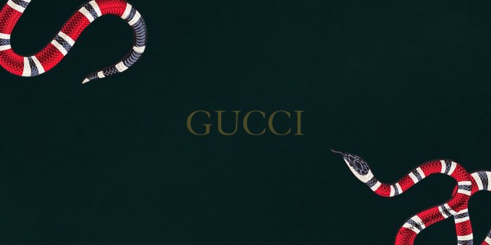 1920x1080 Supreme And Gucci Wallpapers