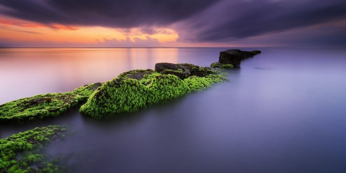 1920x1200 Mossy rocks in Matahari beach, Bali wallpaper - Beach wallpapers