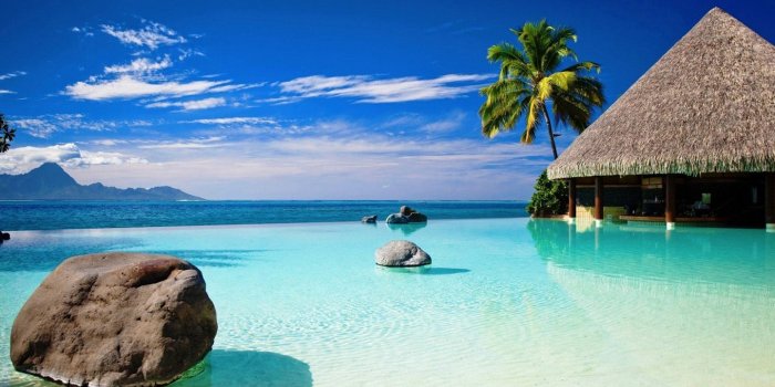 1440x900 60+ Popular Tropical Wallpapers - Download at WallpaperBro