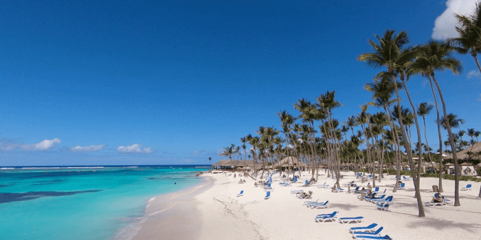 1920x1080 Bali Beach Palm Trees White Sand White Sand Beach Palms Tree Palm Sunday  Stock Video Footage - Storyblocks Video