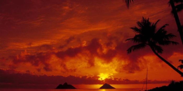 1024x768 48+] 100 Cool Wallpapers on WallpaperSafari