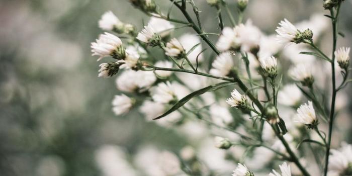 1000x1500 100+ Cool Wallpaper Pictures | Download Free Images on Unsplash