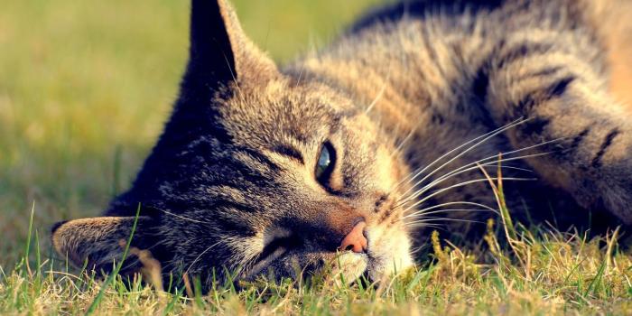 1600x900 100% Desktop Quality HD Wallpapers 1080p Free Download: Mix 100