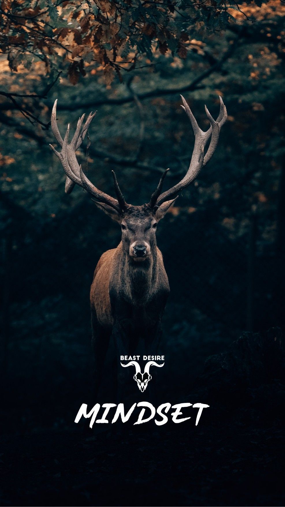 987x1754 Top 31+ cool wallpapers wolf HD Wallpapers | www.interestquote.tech