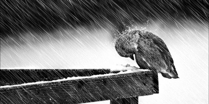 1920x1080 depression sad mood sorrow dark people love winter rain free desktop