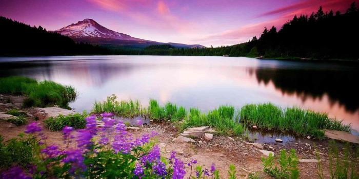 2560x1440 2560x1440 Nature Scenery 1440P Resolution HD 4k Wallpapers, Images