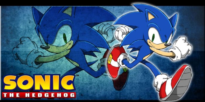 1920x1080 73+ Sonic Riders Wallpapers on WallpaperPlay