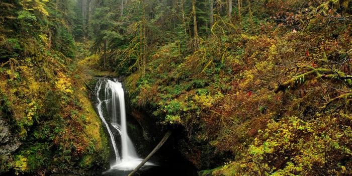 2560x1440 Desktop Wallpapers USA Oregon Nature Autumn Waterfalls 2560x1440