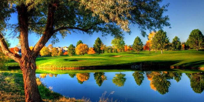 2560x1440 Glassy River in Nature Wallpapers - 2560x1440 - 1902539