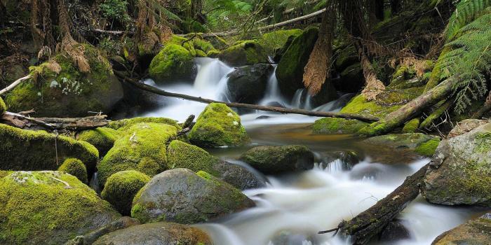 2560x1440 Australian Nature HD Wallpapers 2560X1440 Nature Landscape