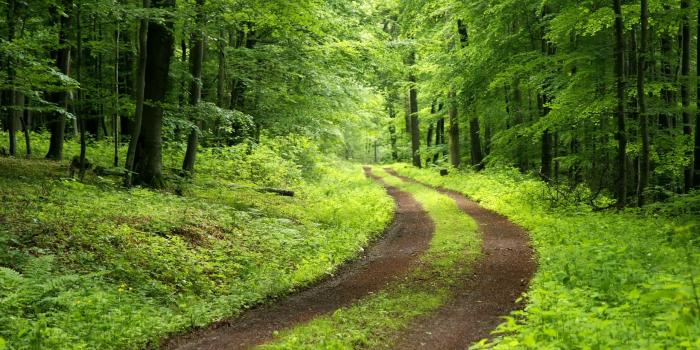 2560x1440 Nature wallpaper | 2560x1440 | #38756