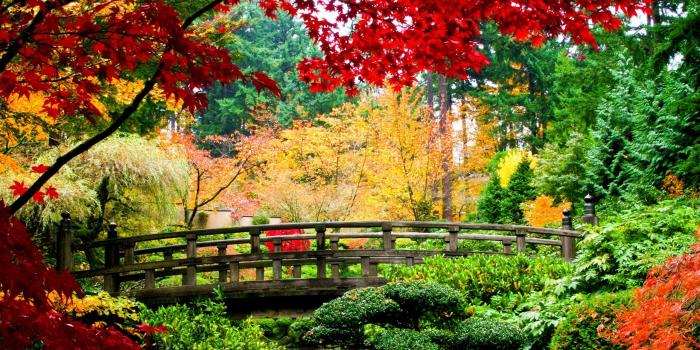 2560x1440 Nature Trees Autumn Colorful Garden Wallpaper [2560x1440]