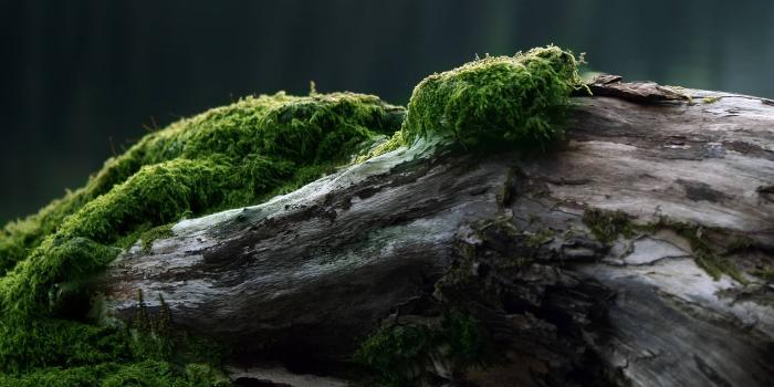 2560x1440 Wallpapers 2560x1440