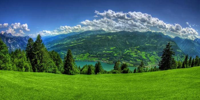 2560x1440 Kingdom of spring | Spring Landscape Wild Field Forest Kingdom