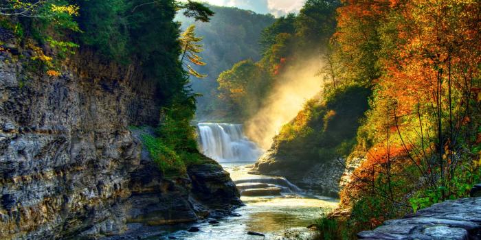 2560x1440 Download 2560x1440 Wallpaper Autumn, Forest, Rocks, Trees, Waterfall