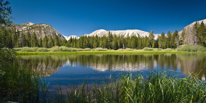 2560x1440 Free download high resolution nature wallpaper 2560x1440 [2560x1440