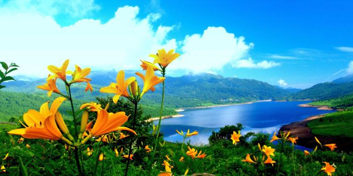 2560x1440 Nature Wallpaper 01145 - Baltana