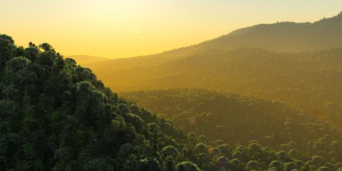 2560x1440 2560x1440 Nature wallpapers