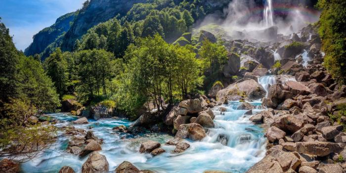 2560x1440 Desktop Mobile Ultra Fine Hd Quality Green Nature Wallpaper