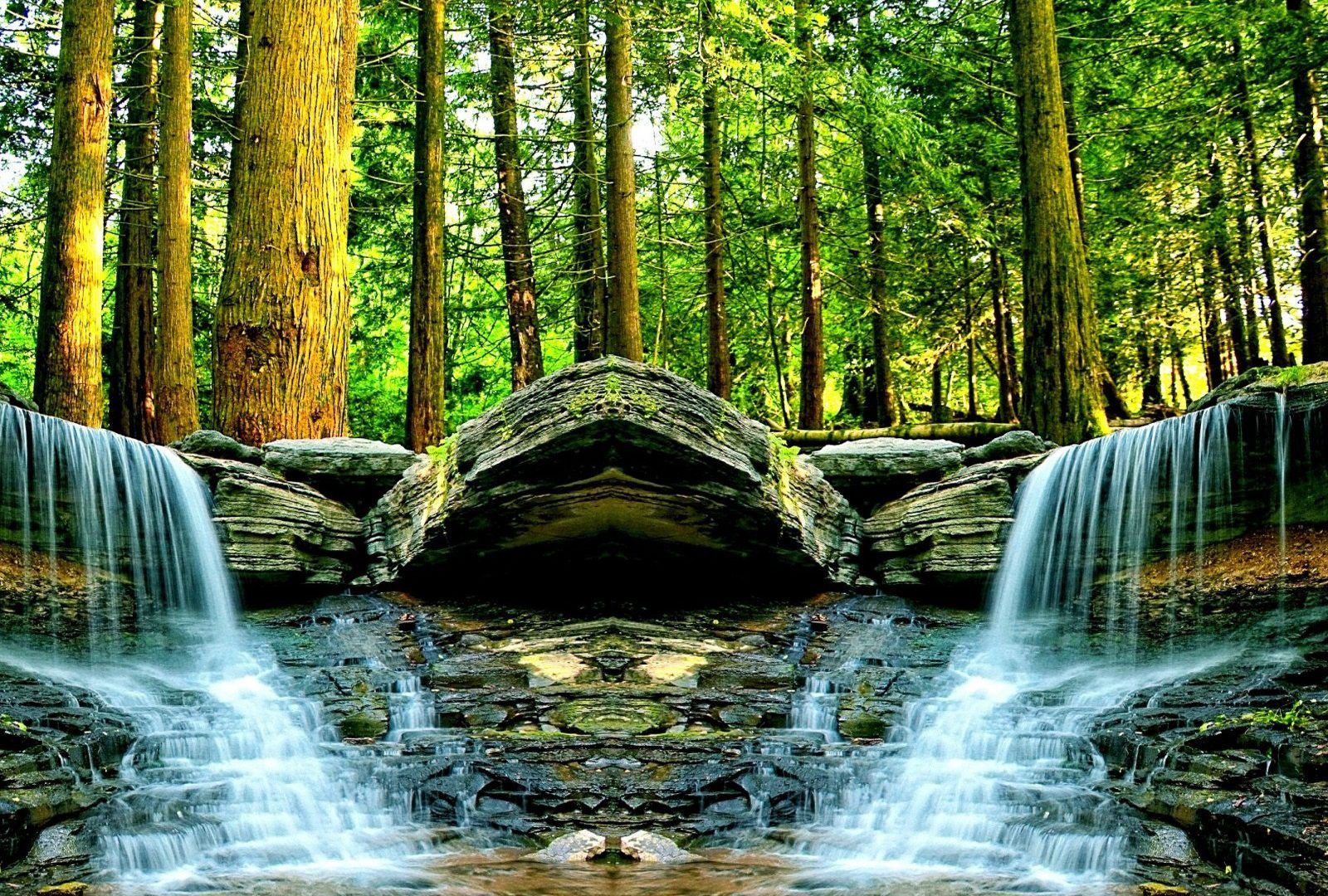 1600x1080 Waterfalls: Forest Tree Waterfalls River Moving Waterfall Wallpaper