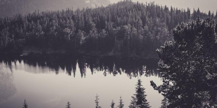 2560x1440 2560x1440 px Black And White Nature Wallpaper