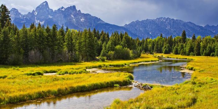 2560x1440 Forest, Tarn, Grazing, Nature Reserve, Painting WQHD, QHD, 16:9