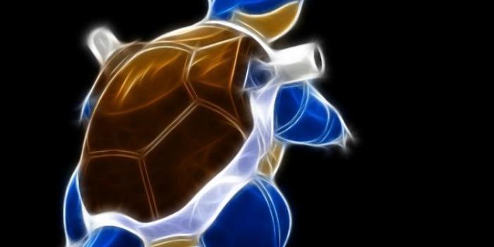 720x1280 Blastoise HD Wallpapers
