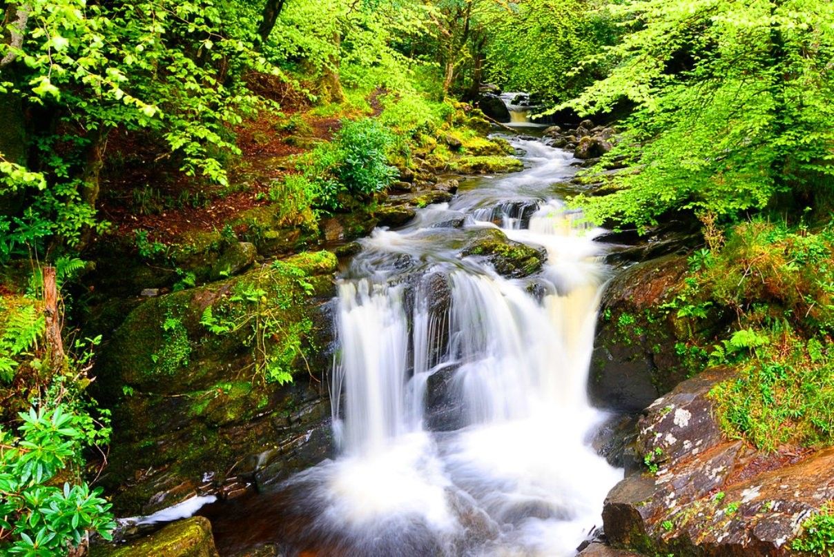 1208x808 Waterfall Nature Flow Killarney Fall Greenery Spring Forest