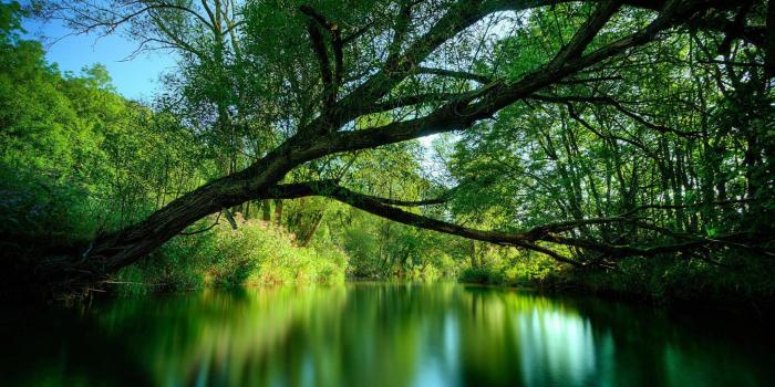 2560x1440 Desk wallpaper, Nature, p - 2560x1440