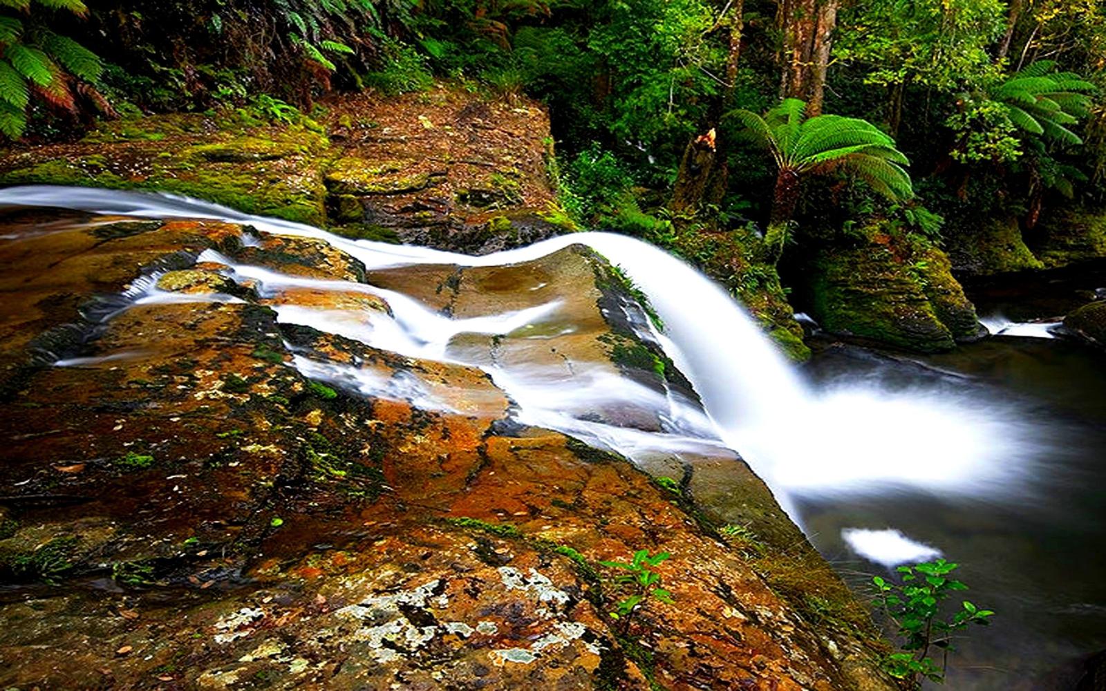 2560x1600 Waterfalls: Australia Hobart Geography Europe Tasmania Park