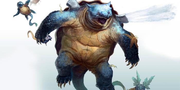 1920x1080 Wartortle, Squirtle and Blastoise Pokemon wallpaper Game 1920x1080