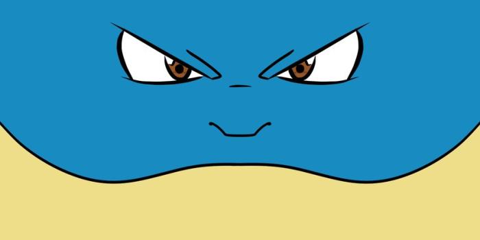 848x1200 Blastoise Phone Wallpaper Blastoise Pokemon Pokemonwallpaper