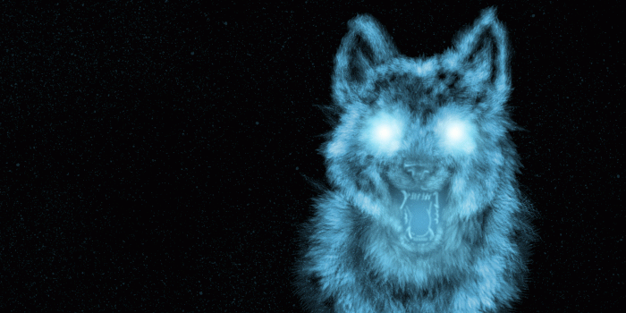 1920x1080 74+] Wolf Wallpaper Desktop on WallpaperSafari