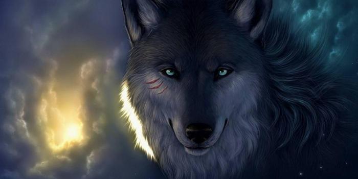 1920x1080 67+ Badass Wolf Wallpapers on WallpaperPlay