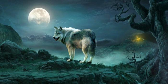 1725x1170 1285022 desktop wallpaper for wolf | Fantasy | Tokkoro.com Amazing