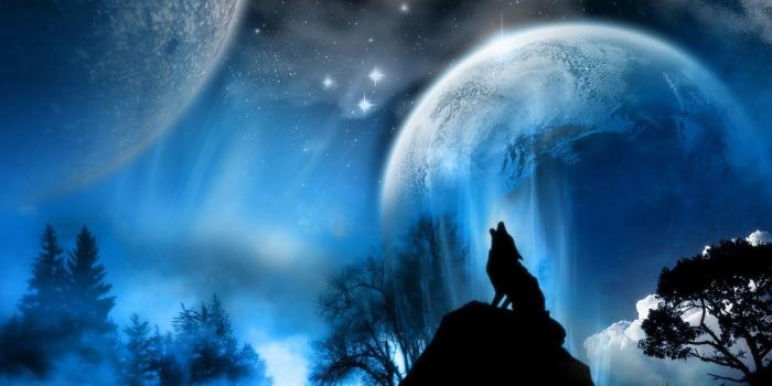 1920x1080 Free Wolf Backgrounds on WallpaperGet.com