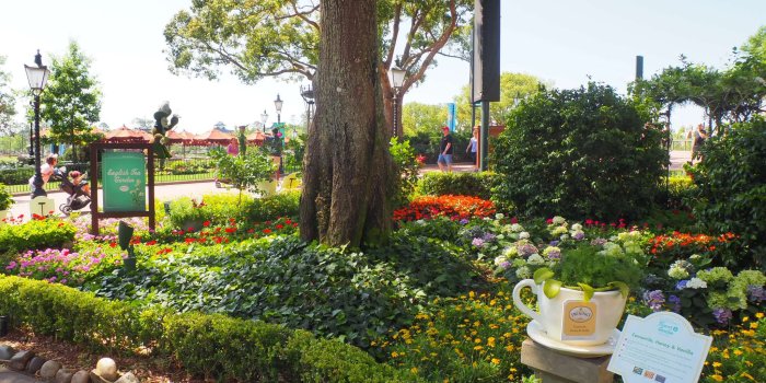 2048x1536 The Royal Tea Garden Tour at the Epcot Flower & Garden Festival
