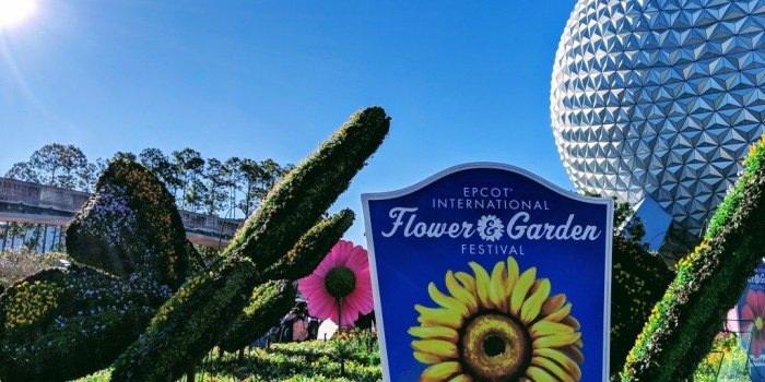 1024x768 The Epcot Flower & Garden Festival is in Full Bloom! | Chase Beauty