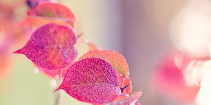 1080x1950 Girly iPhone Wallpaper