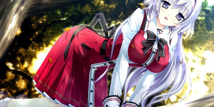 1579x987 Cute, Girl, Up, In, A, Tree, Anime Images, HD Anime Wallpapers