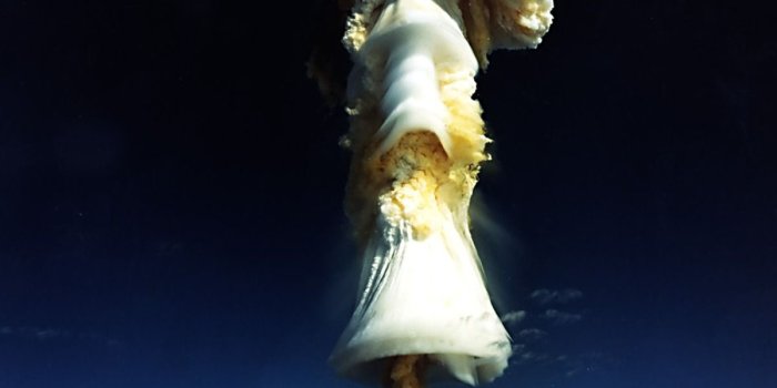 1200x1920 Vertical Wallpapers 1200x1920 Wallpaper Vertical 1 | Computers and