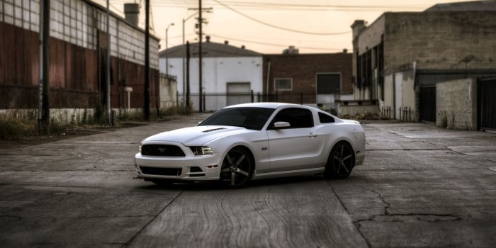 1366x768 Ford Mustang Wallpaper 1366x768 (27+ images) on Genchi.info