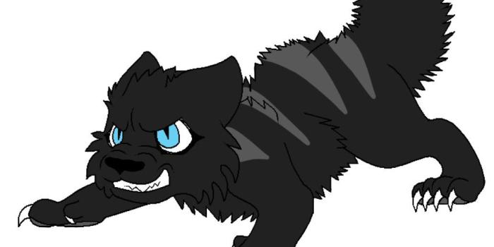 1032x774 100+ Zane Chan As Wolf HD Wallpapers – My Sweet Home