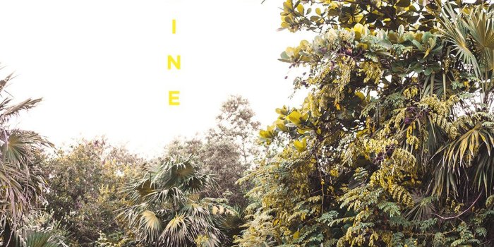 1242x2208 Hello Sunshine Wallpaper Download \ Max Wanger Print Shop