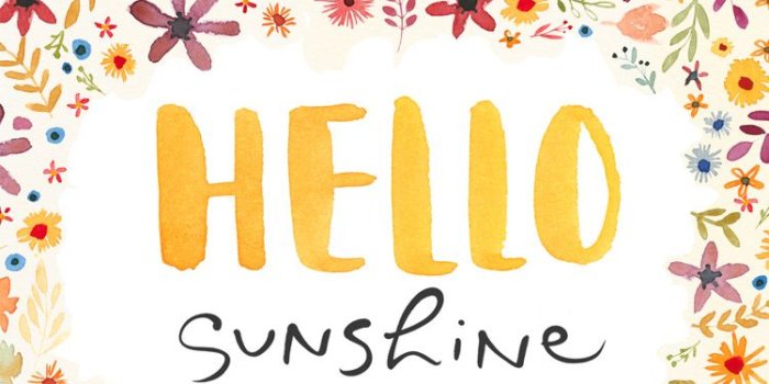 750x1334 Hello, Sunshine! | Kathy Davis