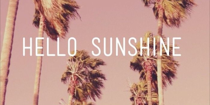 736x1119 ▷ Hello sunshine hd wallpaper free top quote - Genius Quotes