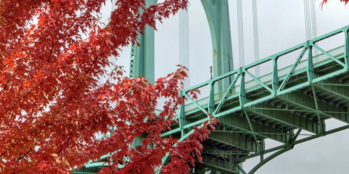 1440x2560 Download wallpaper 1440x2560 bridge, trees, bright, autumn